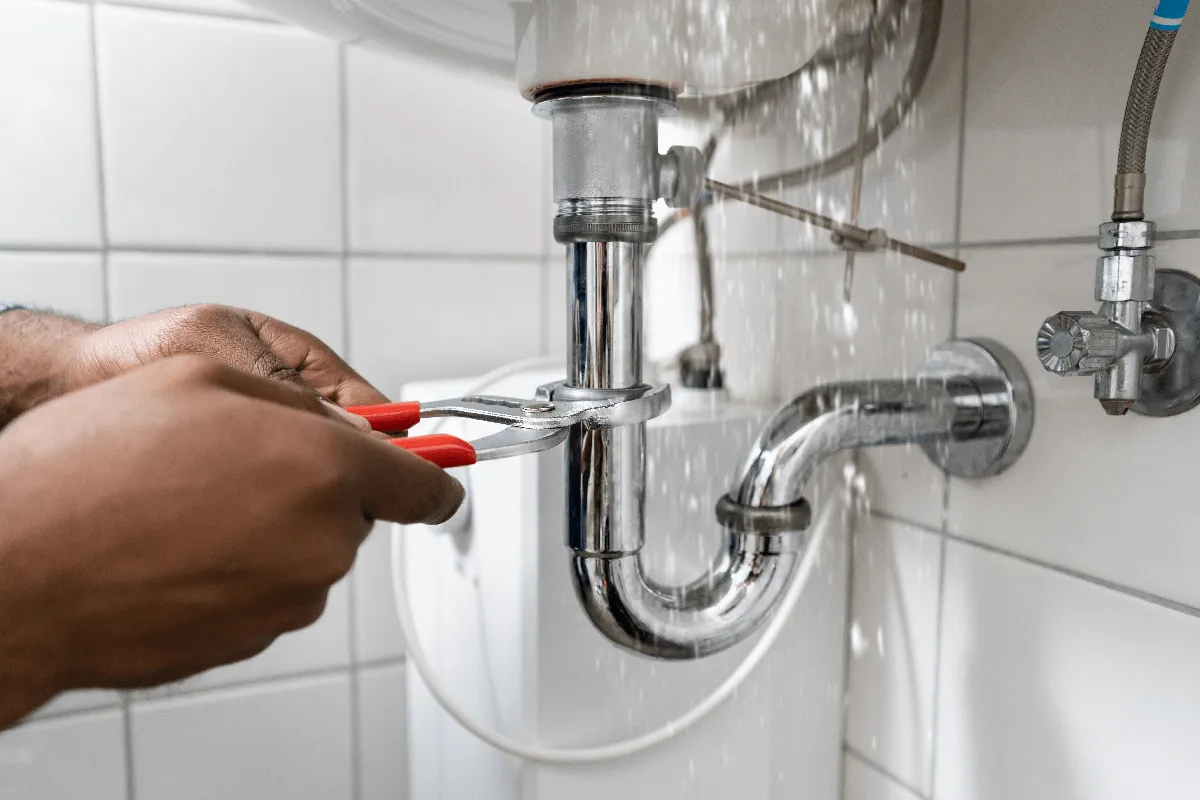 Property Maintenance